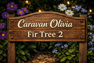 CARAVAN OLIVIA